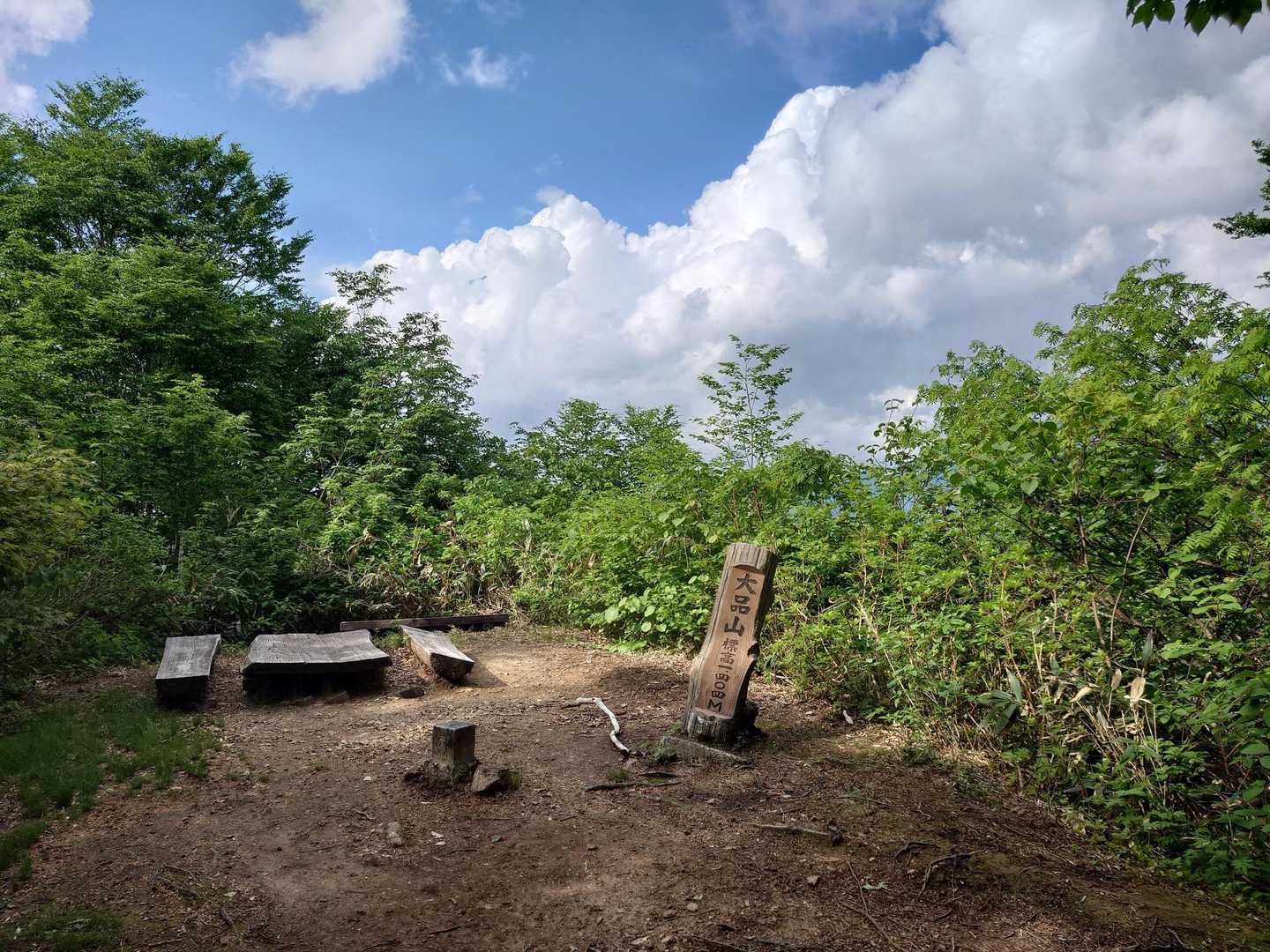 鍬崎山 往復コースの写真
