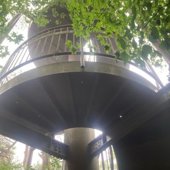 展望台かあ
一応登ってみるかな
