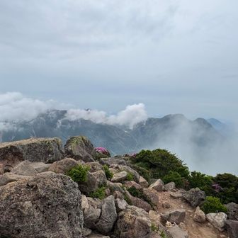 大船山です