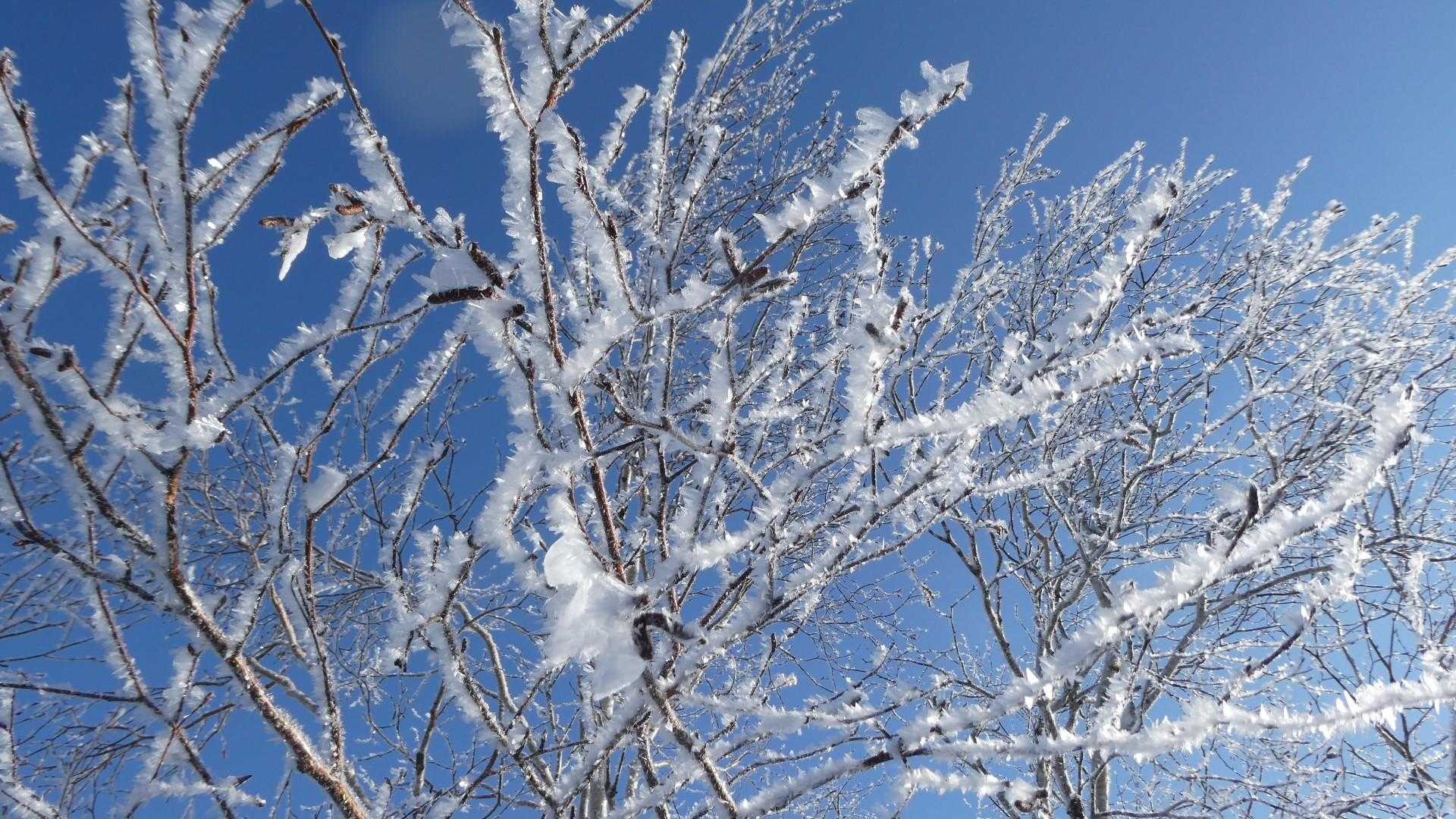 樹氷
かなり寒い
ずっと−10℃以下だったのではないだろうか