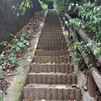 無事下山。
楽しいお山をありがとうございました😊