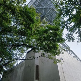 往路、ドコモ子持無線中継所。
展望はありません。