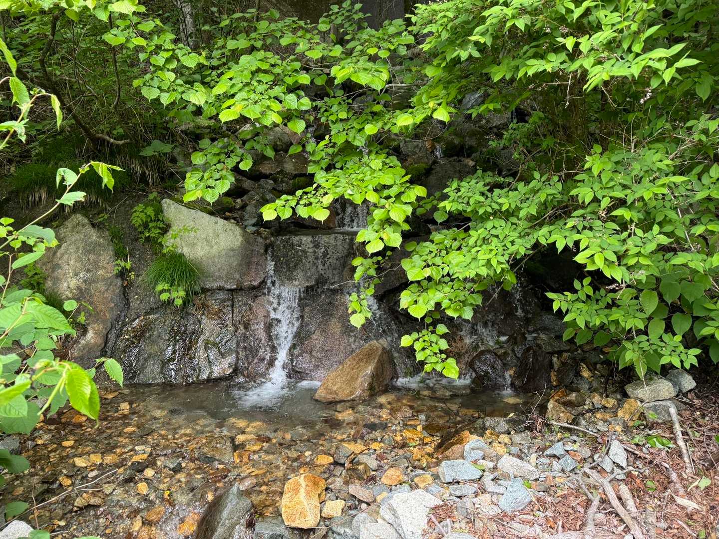 色々と水場ありますよ❗️