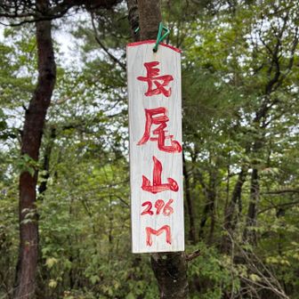 山頂到着
