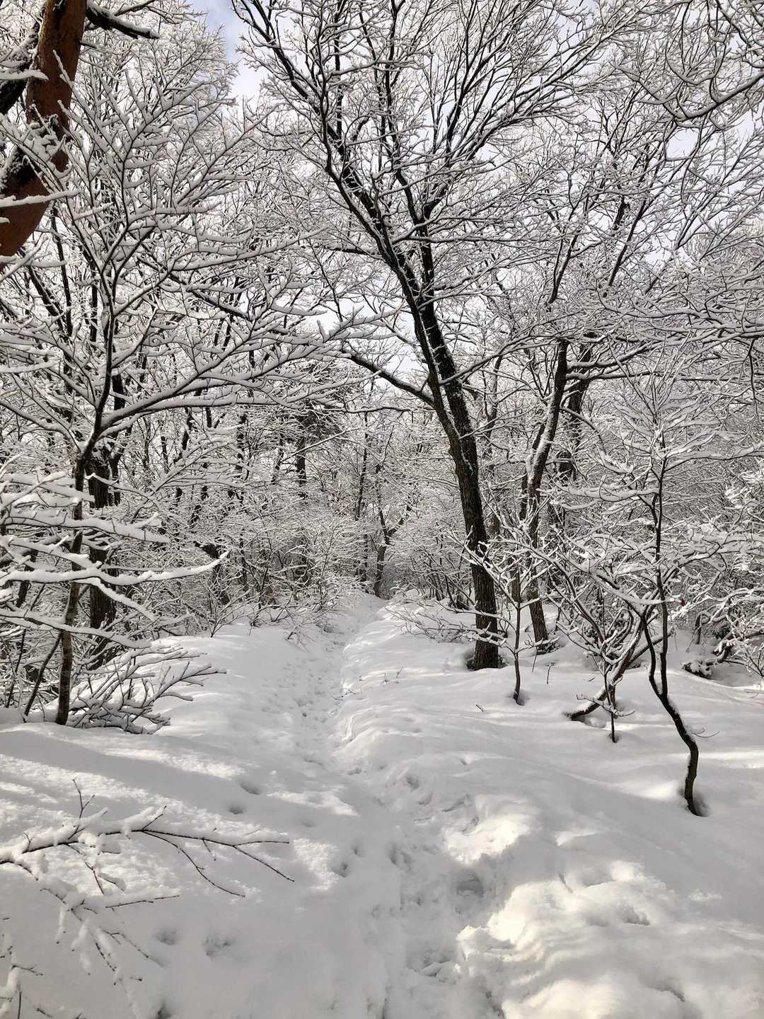時折り陽射しも差し込む雪白ロード🎶