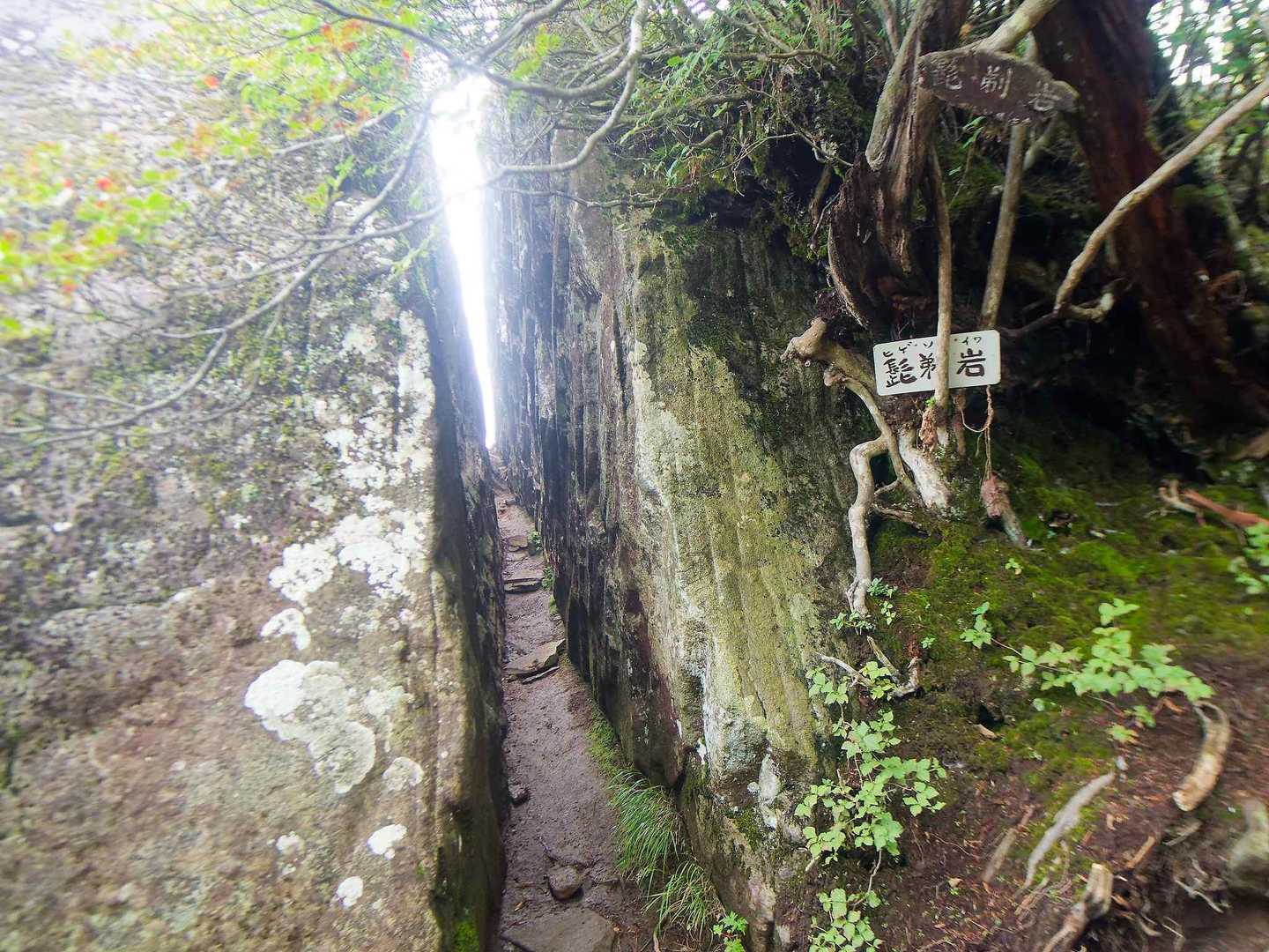 有名な髭剃岩を通過
