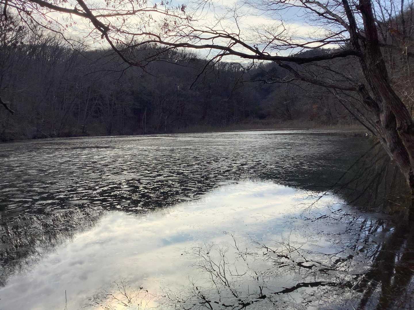 参らず池。水面が少凍っているように見えました。