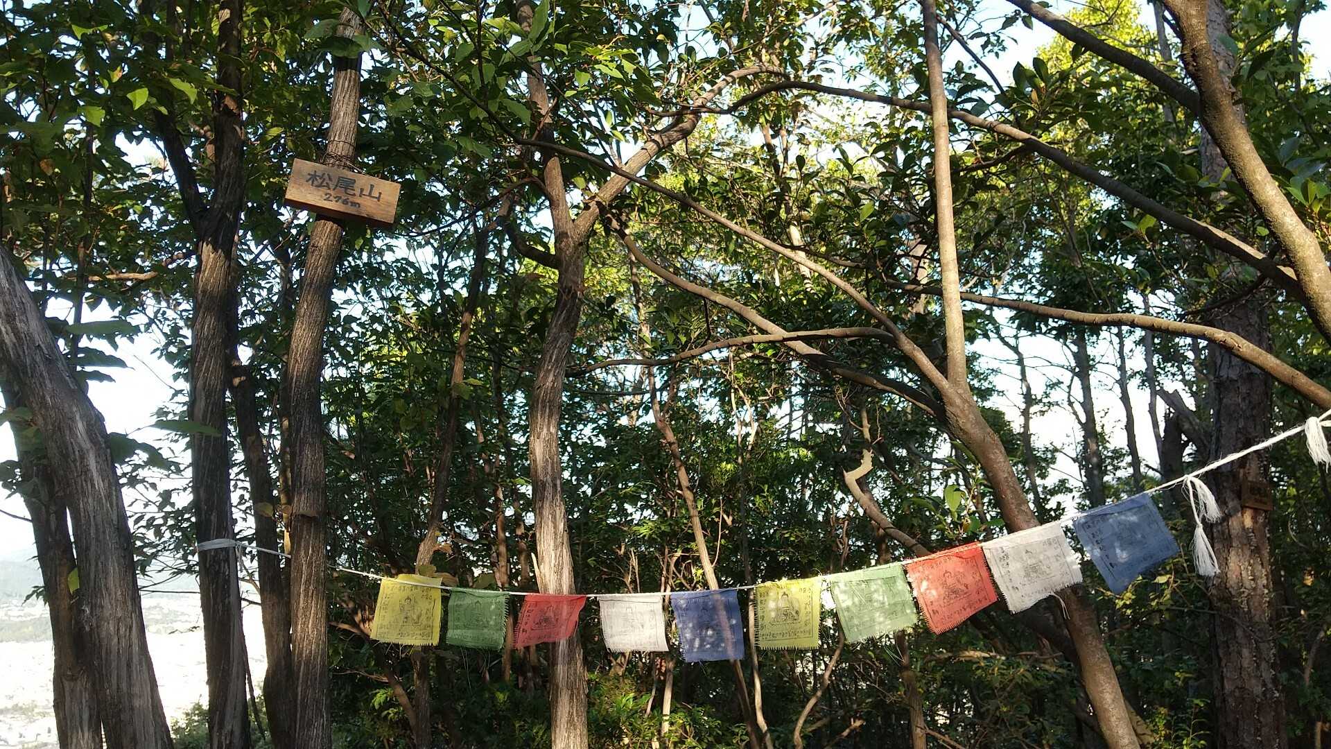 松尾山の写真