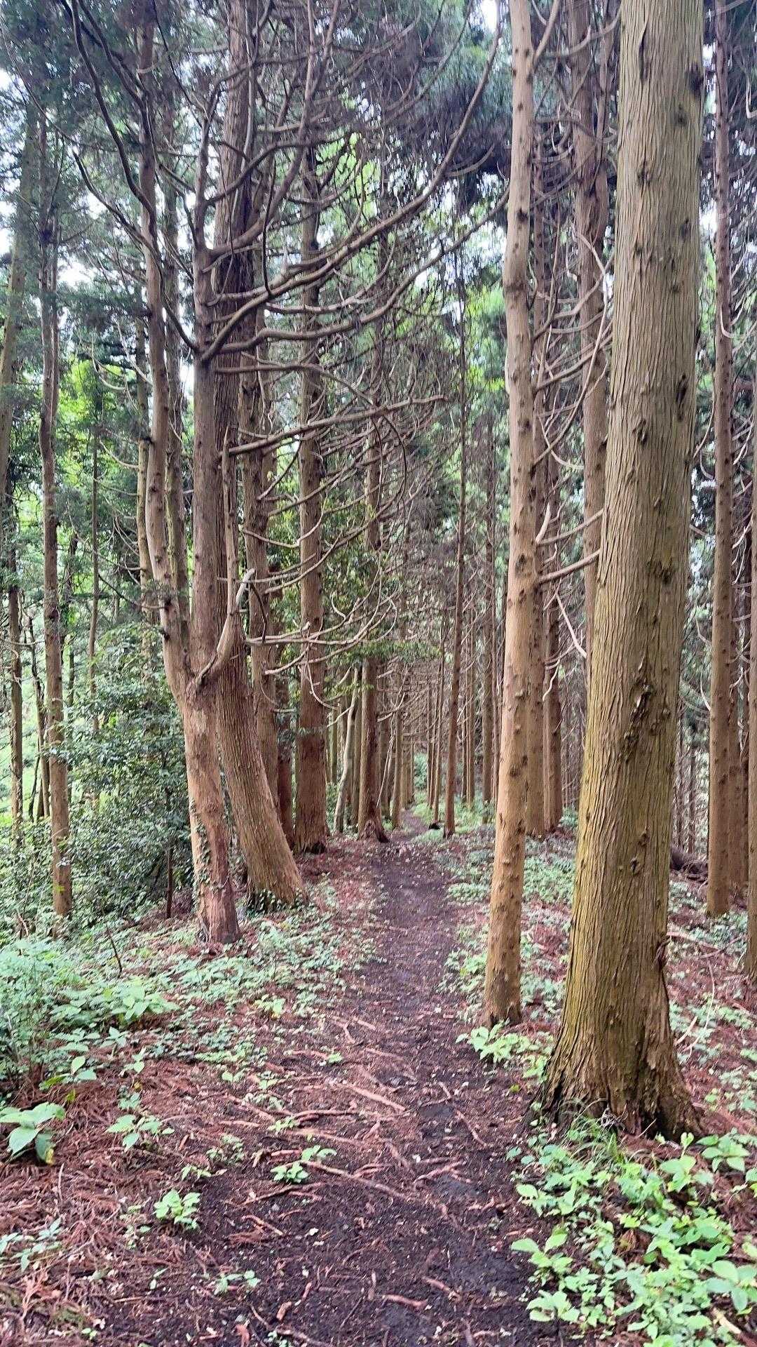 さーて戻ろう