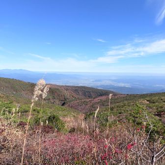 振り返ると‥