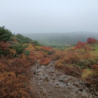 濡れた石で滑らないよう慎重に下る