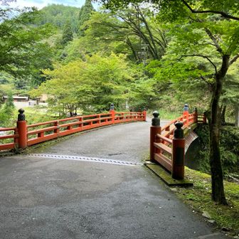 この高雄橋を渡り階段をしばらく上がり高雄バス停に。上のもみぢ家さんに上がれば周山街道162号、向かいが帰りのバス停🚌