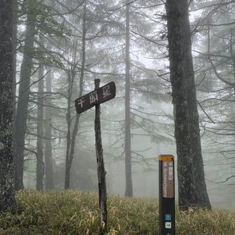 千頭星山🙌

キラキラネームな割に山頂が地味なのは山百あるある🤭
