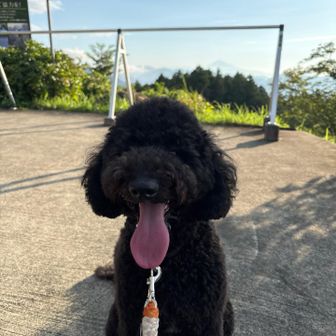 クールダウンに日陰で涼む