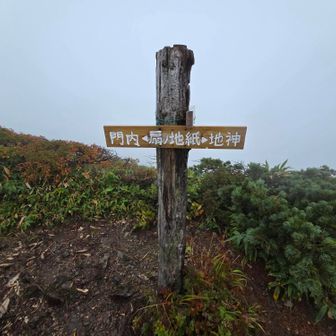 梶川尾根との分岐
地神山へ向かう🚶‍♂️💨