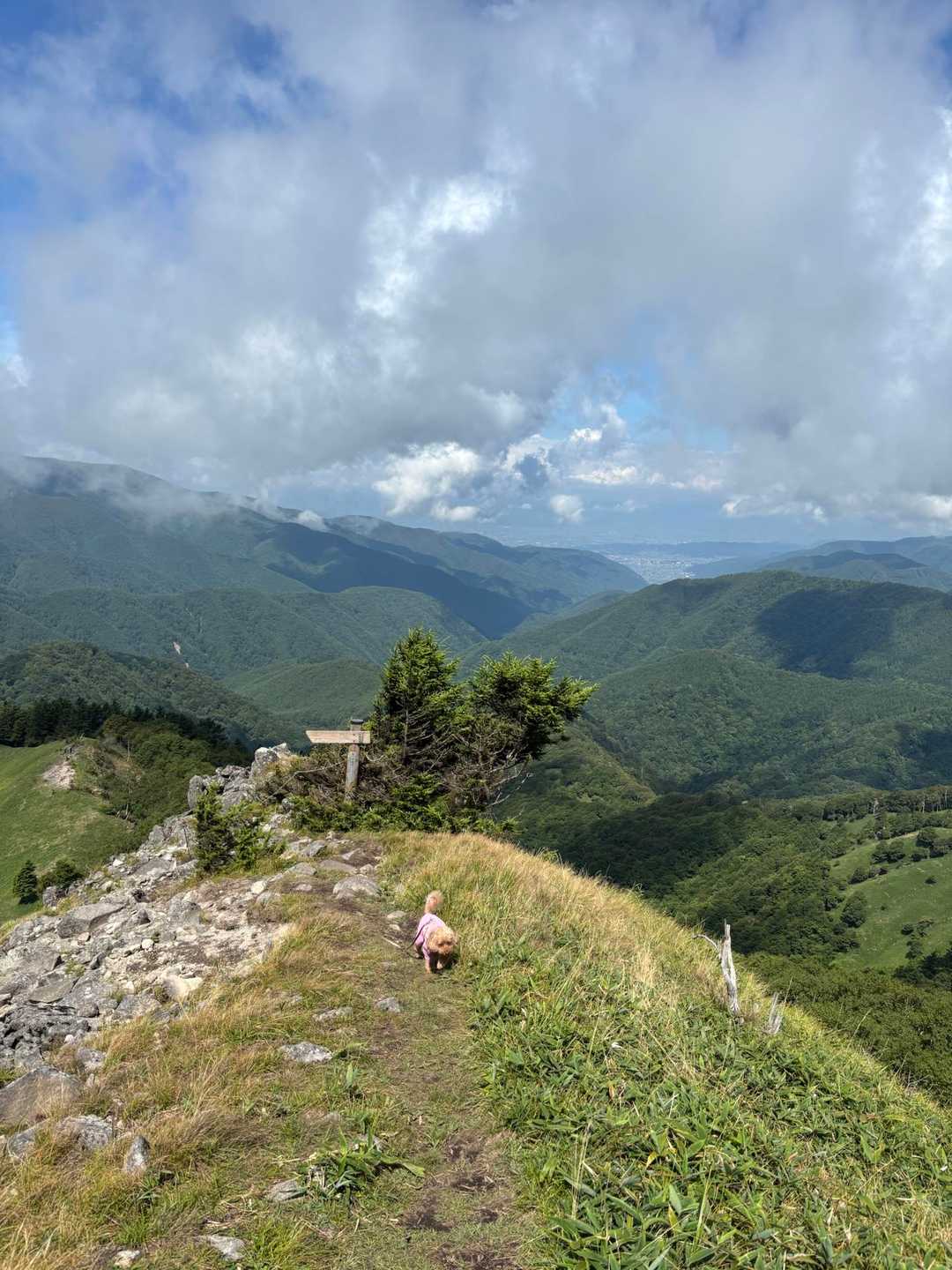 三峰登山口-三峰山-和田山北峰 周回コースの写真