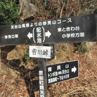 吉川峠に下山。