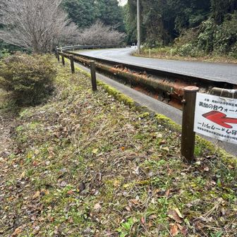 車道に沿って道がありました
セーフ😮‍💨