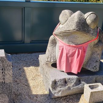 なでると良いことあるらしい