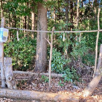 ザック掛け　数カ所にありました　キャンプしたくなる〜