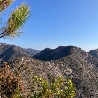 ホントにいつ来ても感動する稜線