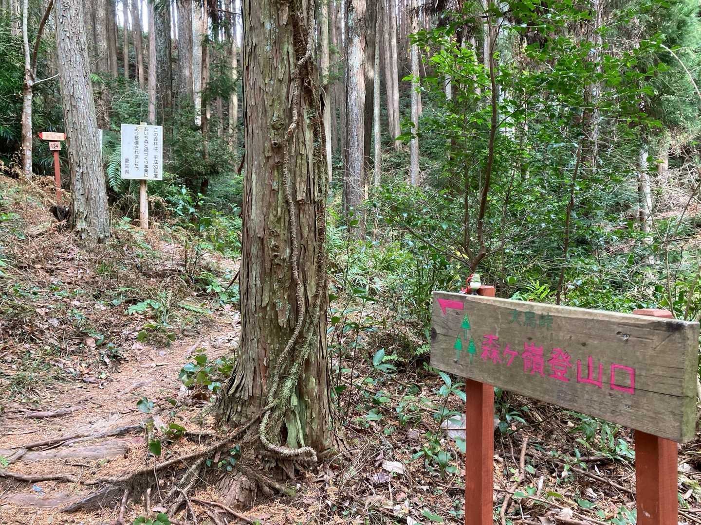 森ヶ嶺登山口🪧