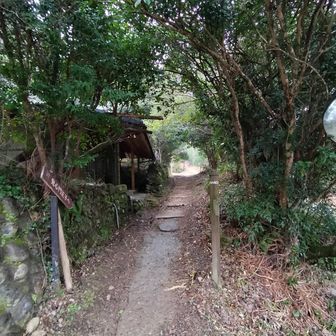 熊野古道 小辺路 ここから山道に戻ります