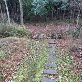 そして再び遺跡公園からの登山道に合流。
どこに合流したかといいますと、、、