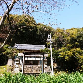 いつもの愛宕神社🌼
今日は立ち寄らず、
心の中でモニャモニャ〜✨️