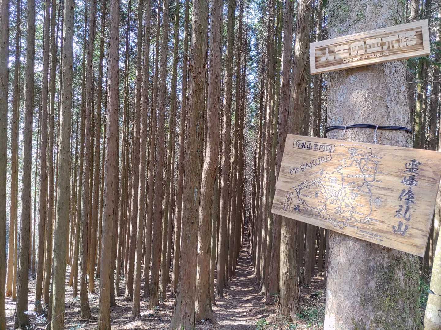 ようやく到着🙌
