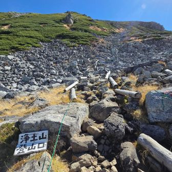 浄土山登山口の案内はあるけど、山頂プレートないらしい