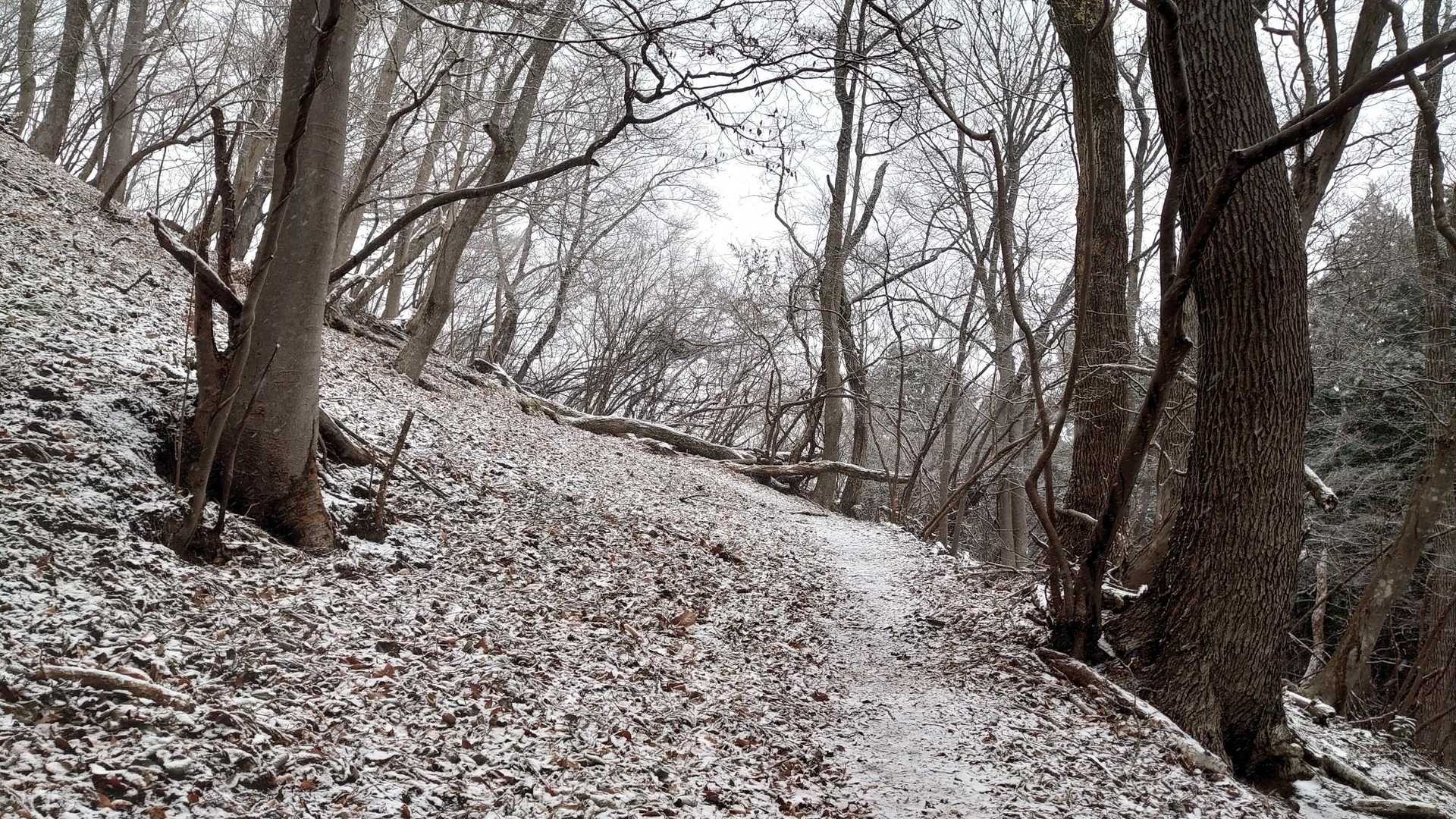 だいぶ雪景色