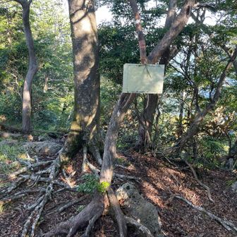 要山？、登頂です♪