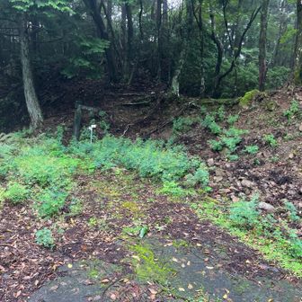 林道終点まで来ました
舗装はされてましたが、回転地狭い
ここが尾根コース登山口