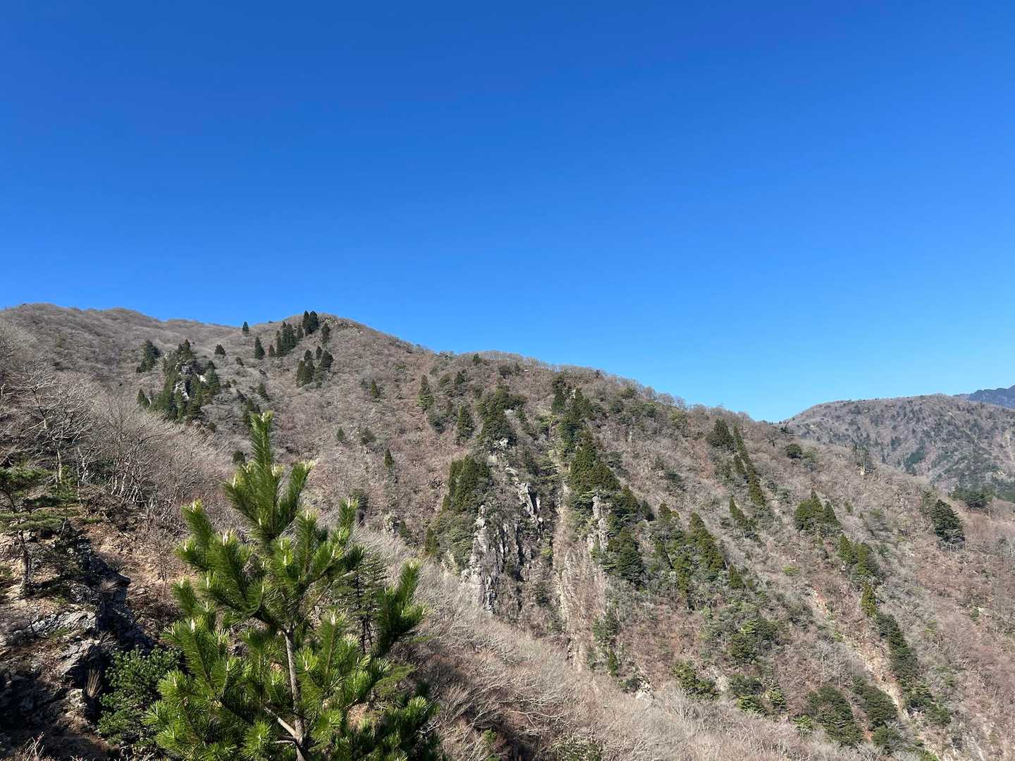 朝明登山口-ハライド-国見岳-根の平峠 周回コースの写真