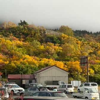 夕日に照らされてキレイ✨️

栗駒山は神の絨毯だけじゃなかった～🤩


おつかれさまです😊
