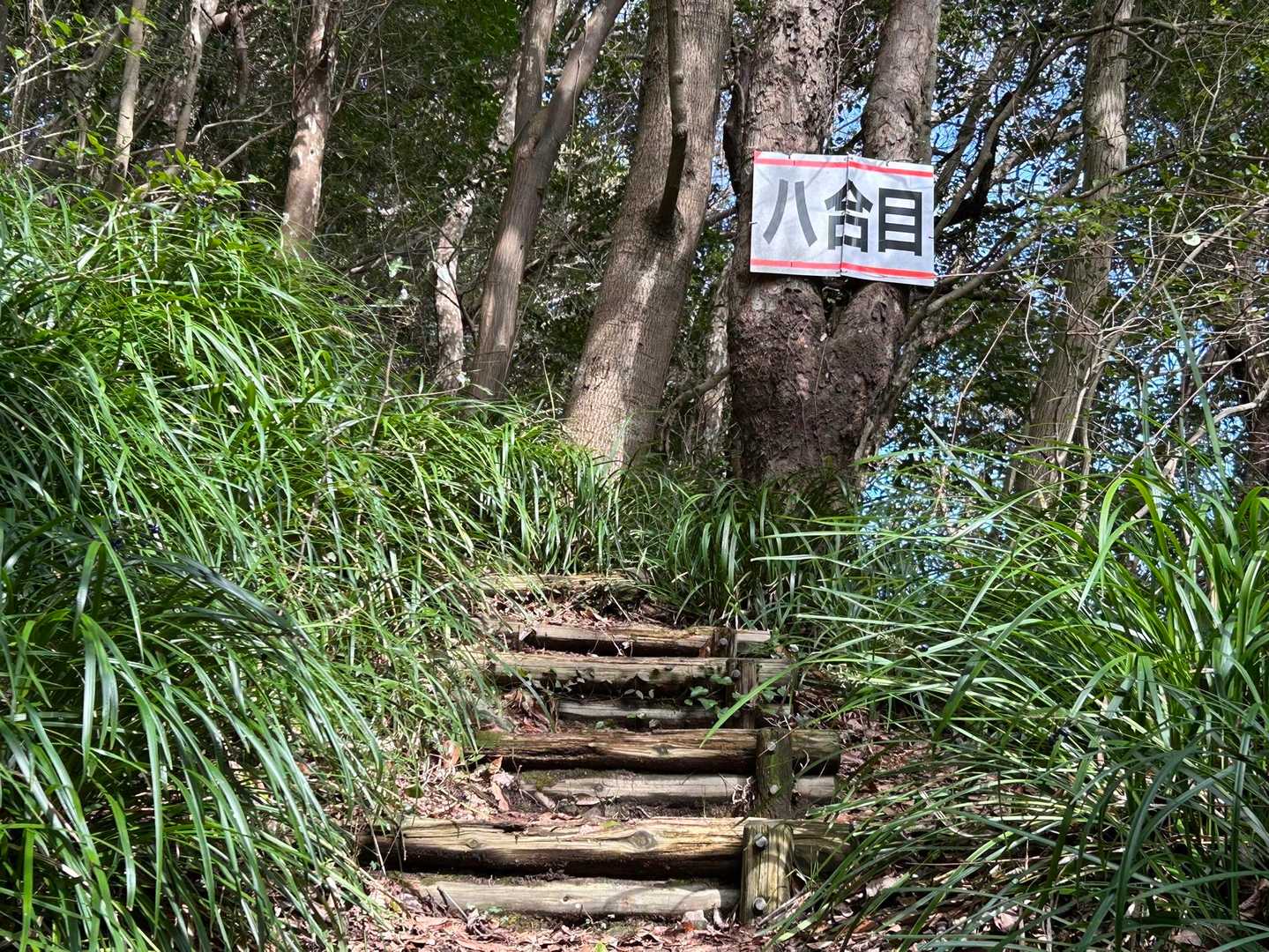 8合目からは階段。