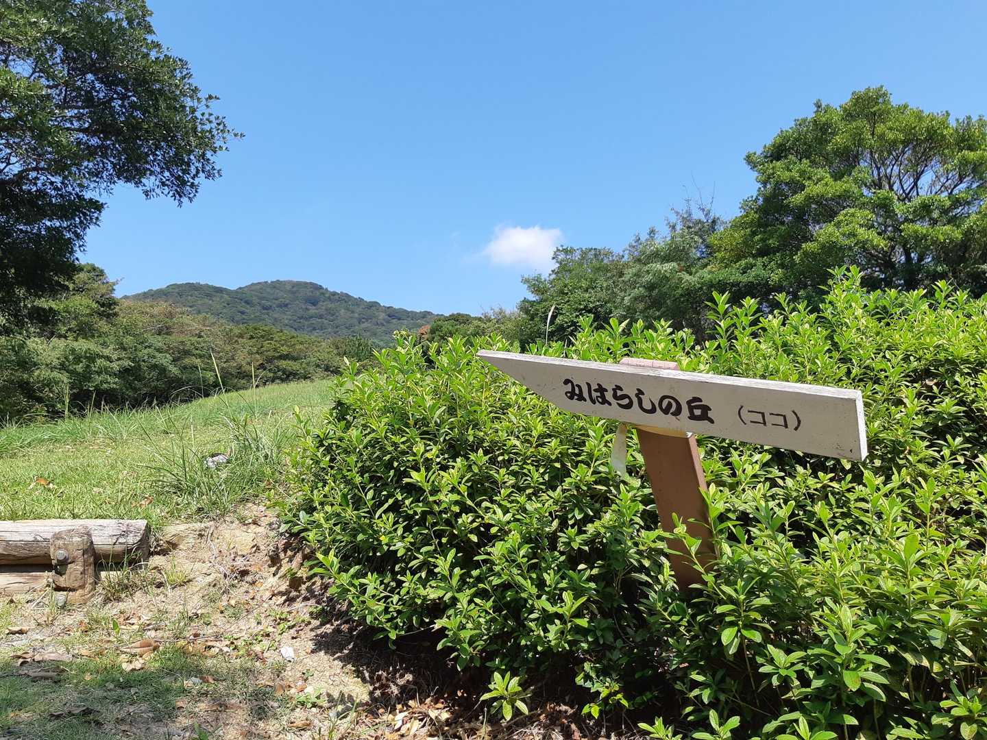 ‥山に戻って
みはらしの丘到着✨