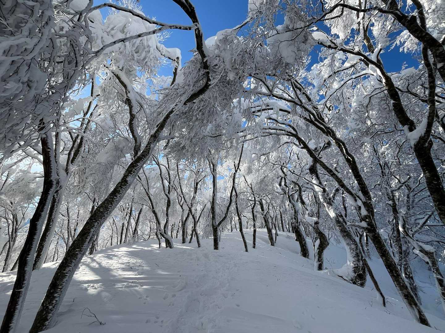 越前下山駅-荒島岳-荒島岳登山口 縦走コースの写真