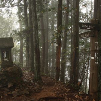 奥の峰。今度晴れた日に、大岳山まで挑戦してみたいと思います。