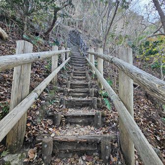 またまた急な階段💦