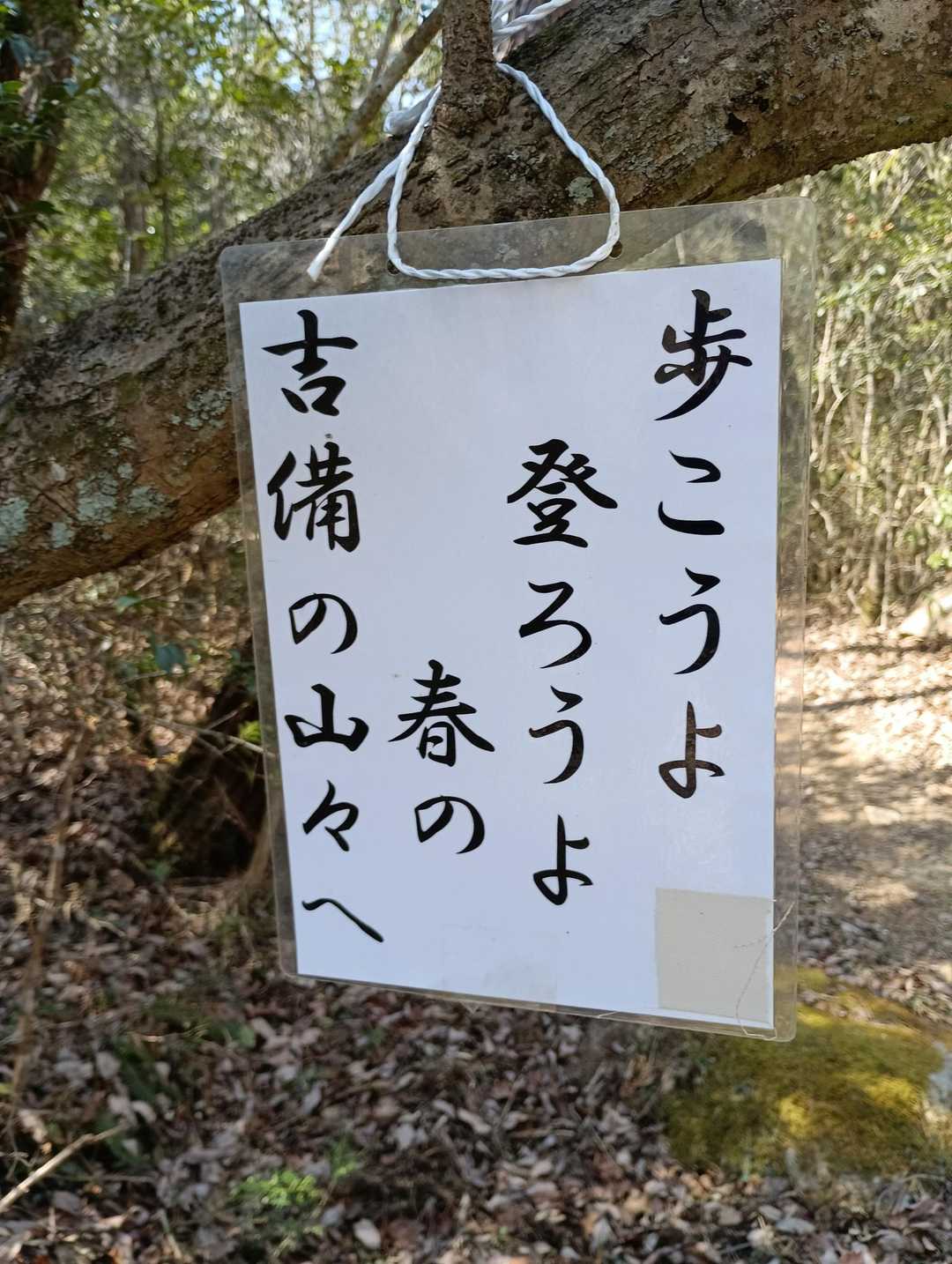 まさしく今でしょ！