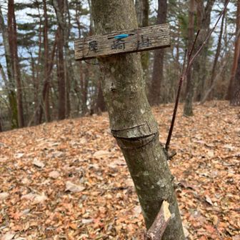 尾崎山967m‼️
自由〜になれた気が〜した十五の夜〜🏍️