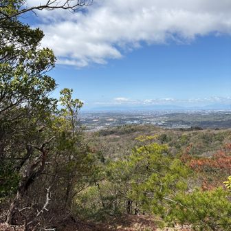 山頂よりの風景