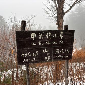 小屋まで戻ってきましたわ