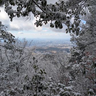 分岐点。名古屋方面の景色。