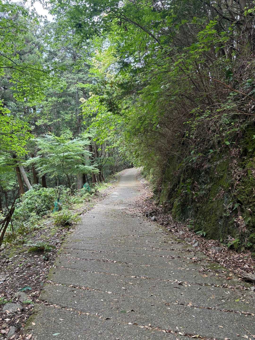 下山は楽ちん