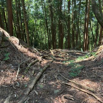 権現峠から塩津方面