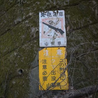 今日は熊鈴２つ持ちにしてみた。あんまり意味ないと思うけど笑