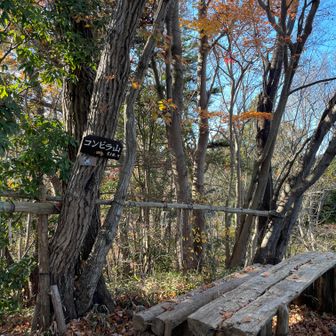 8座目 コンピラ山
４６６m